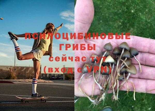 a pvp Алексеевка
