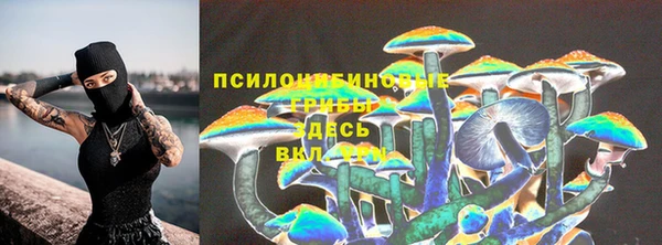 амф Алексин