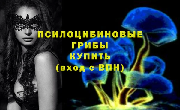 амф Алексин