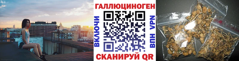 Галлюциногенные грибы прущие грибы  дарк нет формула  Киржач  как найти  